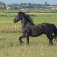 Thumbnail for the listing's main image